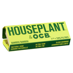 Bamboo 1 1/4 + Filters