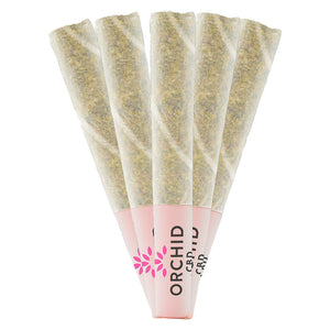CBD Runtz Pre-Roll