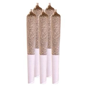 Amnesia Haze Pre-Roll