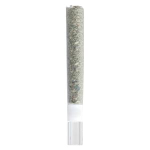 Rosin Roll Glass Tip Infused Pre-Roll